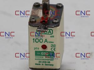 WH500329014 20 209 08 - 100A Fuse