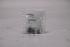 7000-13021-0000000 (27611) - M12 female 90° A-cod. screw terminal